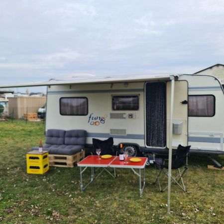 Louise'S Camper Hotel Neusiedl an der Zaya Eksteriør billede