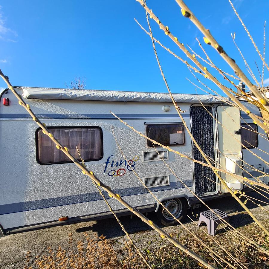 Louise'S Camper Hotel Neusiedl an der Zaya Eksteriør billede